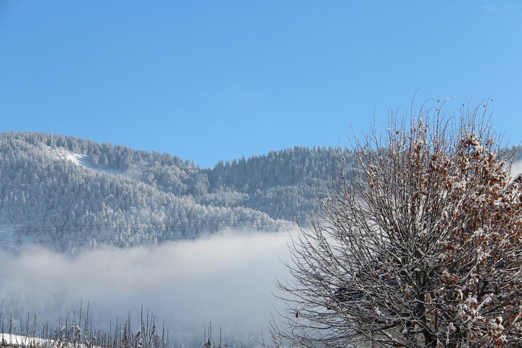 Hotel La Tapia Autrans-Meaudre-en-Vercors Kültér fotó